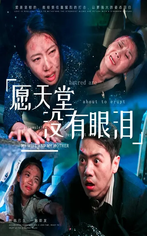 《愿天堂没有眼泪》：直击人心的亲情救赎与生命之歌