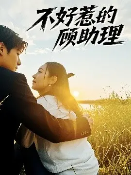 《不好惹的顾助理》：职场女王的华丽反击与致命陷阱