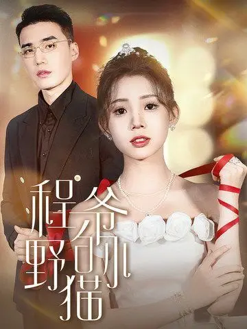 《程爷的小野猫》：腹黑霸总遇上撒娇野猫，一场啼笑皆非的甜宠养成记